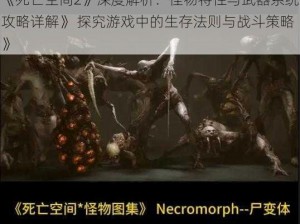 《死亡空间2》深度解析：怪物特性与武器系统攻略详解》 探究游戏中的生存法则与战斗策略》