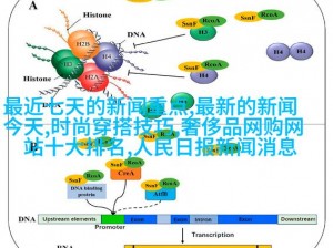 为什么毛多多会被 bgmbgmbgm 困扰？如何解决这个问题？