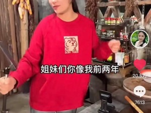 两个好媳妇中文翻译为什么这么难？如何才能准确翻译？