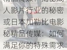 日本加勒比电影秘精品传媒：揭秘成人影片行业的秘密或日本加勒比电影秘精品传媒：如何满足你的特殊需求