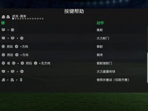 《FIFA 13》卡顿晃眼不用愁，实用解决方法大放送