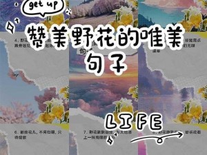 野花高清在线观看免费动漫，为什么要付费？有哪些免费观看的途径？