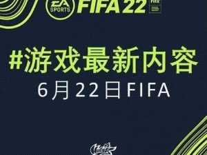 《FIFA13》卡顿不再愁实测有效的解决办法在此