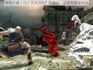 黑暗之魂 2 DLC 无法识别？别担心，这里有解决方法