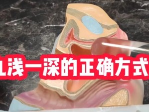 9 浅 1 深左 3 右 3 图解：深度解析 XX 产品的独特设计