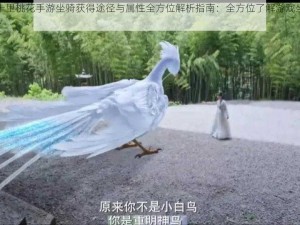 三生三世十里桃花手游坐骑获得途径与属性全方位解析指南：全方位了解游戏坐骑获取及属性特点