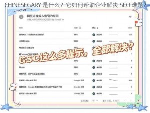 CHINESEGARY 是什么？它如何帮助企业解决 SEO 难题？