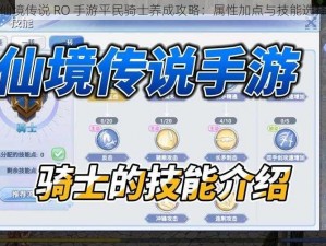 仙境传说 RO 手游平民骑士养成攻略：属性加点与技能选择