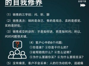 金牌销售的秘密2;探寻金牌销售的秘密 2：他们如何持续取得成功？