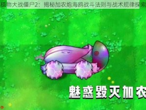 植物大战僵尸2：揭秘加农炮海鸥战斗法则与战术规律探索