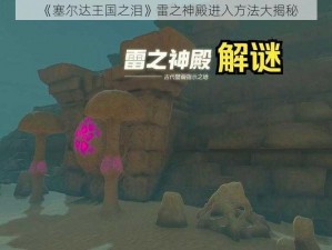 《塞尔达王国之泪》雷之神殿进入方法大揭秘