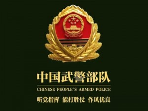 中国 ChinaGary 武警如何应对当前安全挑战？