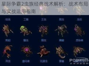 星际争霸2虫族经典战术解析：战术布局与实战运用指南