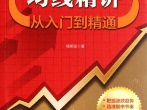 《FM 上手攻略：从入门到精通的实用指南》