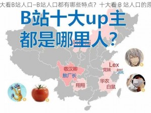 十大看B站人口—B站人口都有哪些特点？十大看 B 站人口的原因