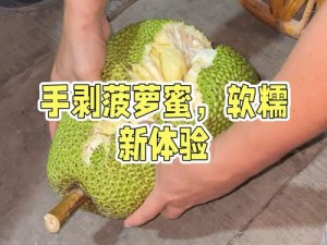 菠萝蜜视频高清在线观看：为何卡顿？怎样解决？