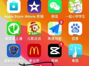 抖抈 app 下载汅 api 免费下载 ios，一款备受欢迎的短视频应用