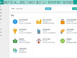 国精产品 W灬源码 1H855 是什么？有何作用？如何使用？