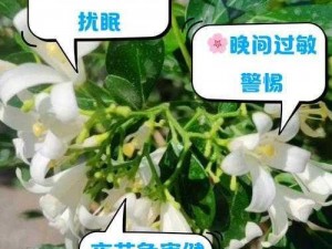 女人晚上莲花开是否有害？如何避免其危害？