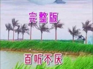 办公室双飞燕最经典的十首歌曲是哪几首？为什么这些歌曲能成为经典？怎样才能找到这些歌曲？