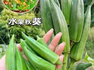 草莓 秋葵 丝瓜 榴莲 草莓、秋葵、丝瓜、榴莲，哪种水果或蔬菜更有营养？