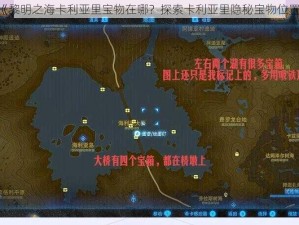 《黎明之海卡利亚里宝物在哪？探索卡利亚里隐秘宝物位置》