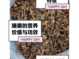 国精产品蘑菇一区一区有限，如何解决？