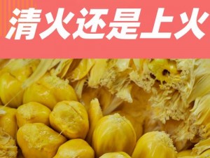 菠萝菠萝蜜在线视频在线播放：为什么总是卡顿？如何解决？