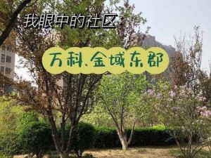 厉害了我的社区，请问你们为何如此神通广大？