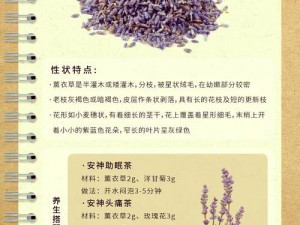 薰衣草研究所免费进入在线？为什么-如何-怎样实现？