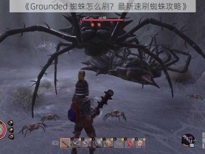 《Grounded 蜘蛛怎么刷？最新速刷蜘蛛攻略》