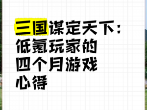 全民斗三国玩家对开发商的建议：创新玩法、优化社交、注重平衡