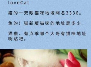 猫咪最新地域网名是什么？如何选择适合的猫咪名字？