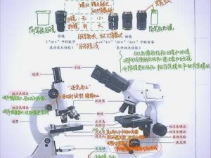 生物老师为什么让班长当教学器材？