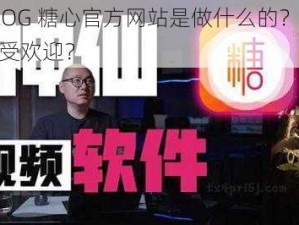 TXVLOG 糖心官方网站是做什么的？为何如此受欢迎？