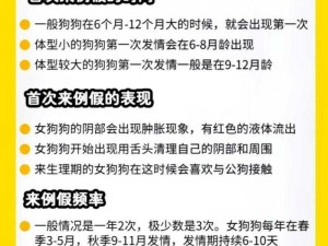 狗狗配种是怎样的过程？为什么要注意配种时间和方法？如何确保配种成功？