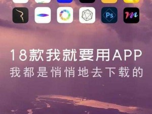 夜里18款禁用软件app的功能,夜里 18 款禁用软件 app 的功能是什么？