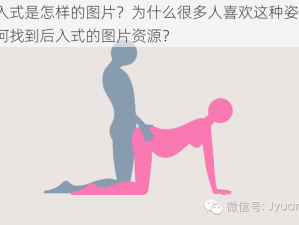 后入式是怎样的图片？为什么很多人喜欢这种姿势？如何找到后入式的图片资源？