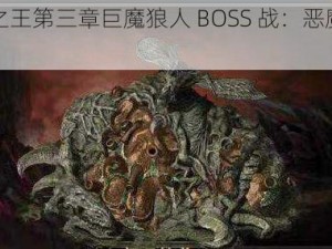 暗影之王第三章巨魔狼人 BOSS 战：恶魔的咆哮