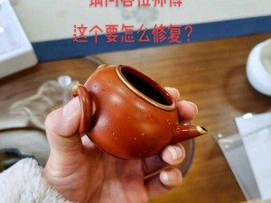 双阳插花芯坏了怎么办？如何修复？