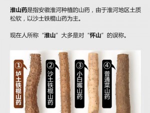 王新刚三兄弟(王新刚三兄弟与铁棍山药事件有何关联？)