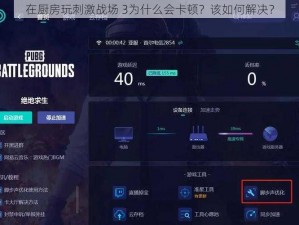 在厨房玩刺激战场 3为什么会卡顿？该如何解决？