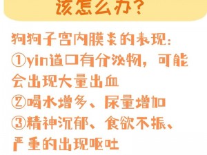 狗狗的东西卡在我子宫里面了-：狗狗的东西卡在我子宫，怎么办？