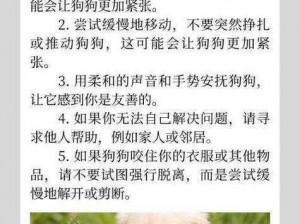 狗狗卡住了怎么办,如果狗狗被卡住了该怎么办？