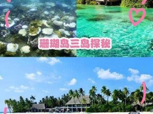 珊瑚岛物品价格误差探秘：是市场波动还是另有隐情？