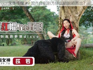 天美传媒 AV 国产自制剧为什么能脱颖而出？