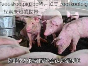 欧美zooskoolpigzoo猪、欧美 zooskoolpigzoo 猪：探索未知的世界