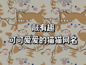 猫咪最新地域网名 3336 是什么？有何作用？如何获取？