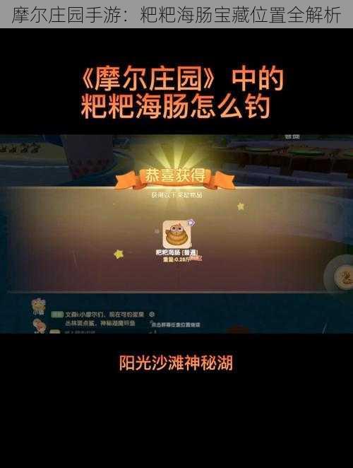 摩尔庄园手游：粑粑海肠宝藏位置全解析