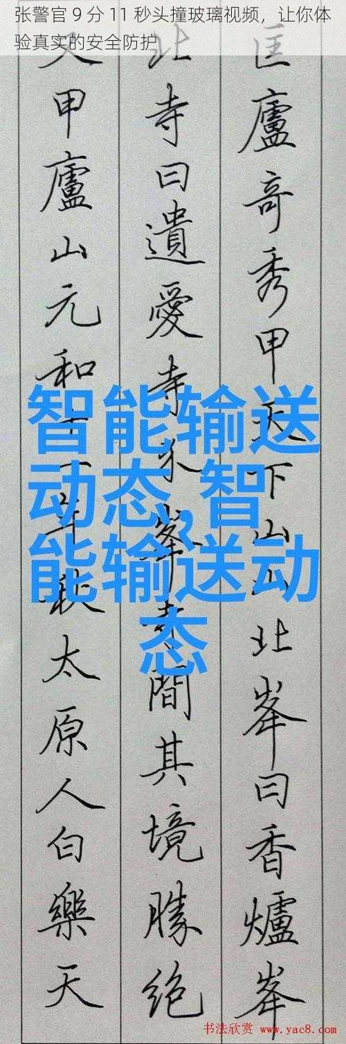 张警官 9 分 11 秒头撞玻璃视频，让你体验真实的安全防护